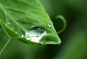 gallery 06